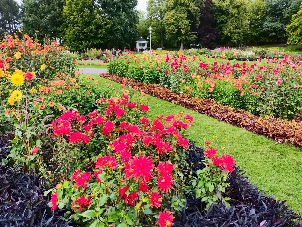 Britzer Garten