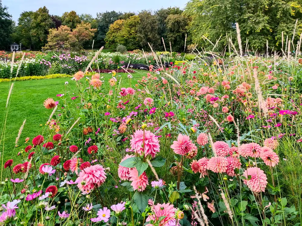 Britzer Garten