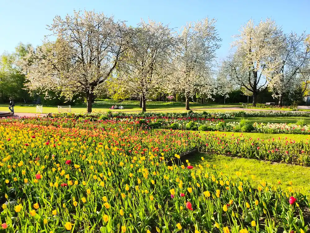 Britzer Garten