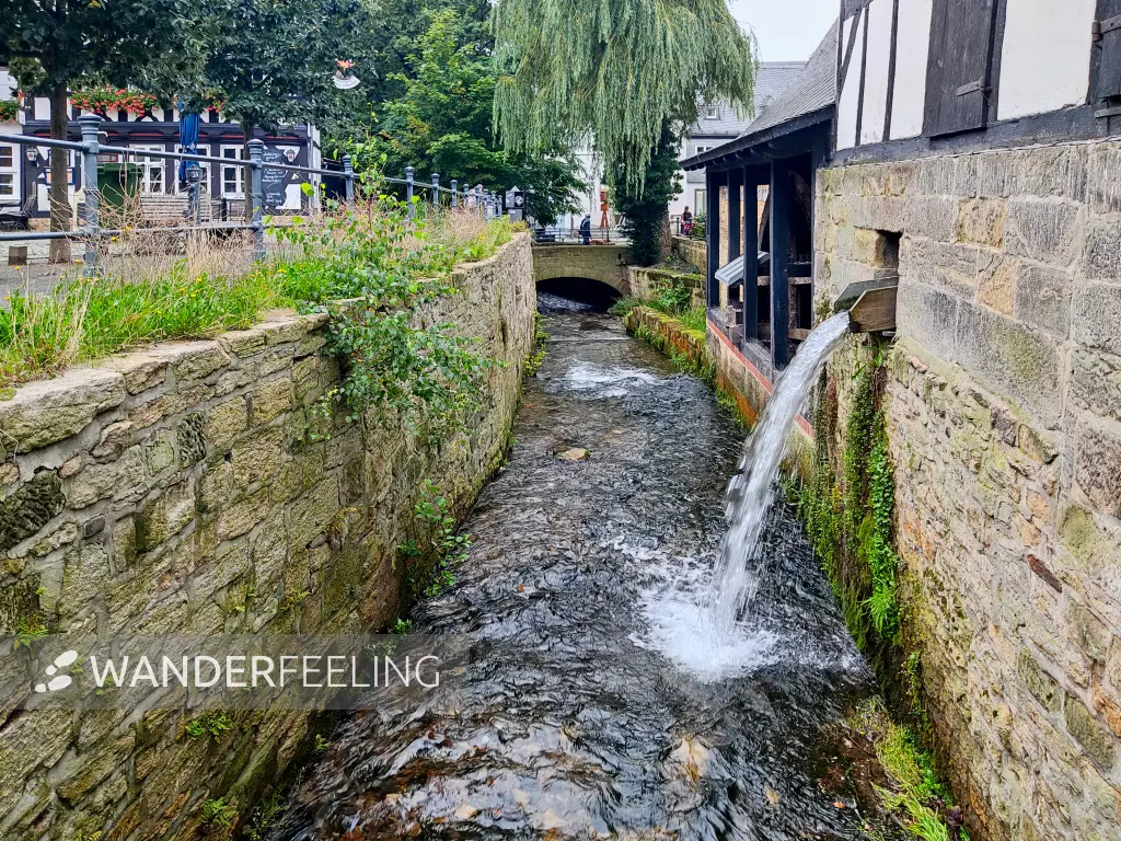 202308170-08 - Abzucht in Goslar, Harz, Niedersachsen, Deutschland