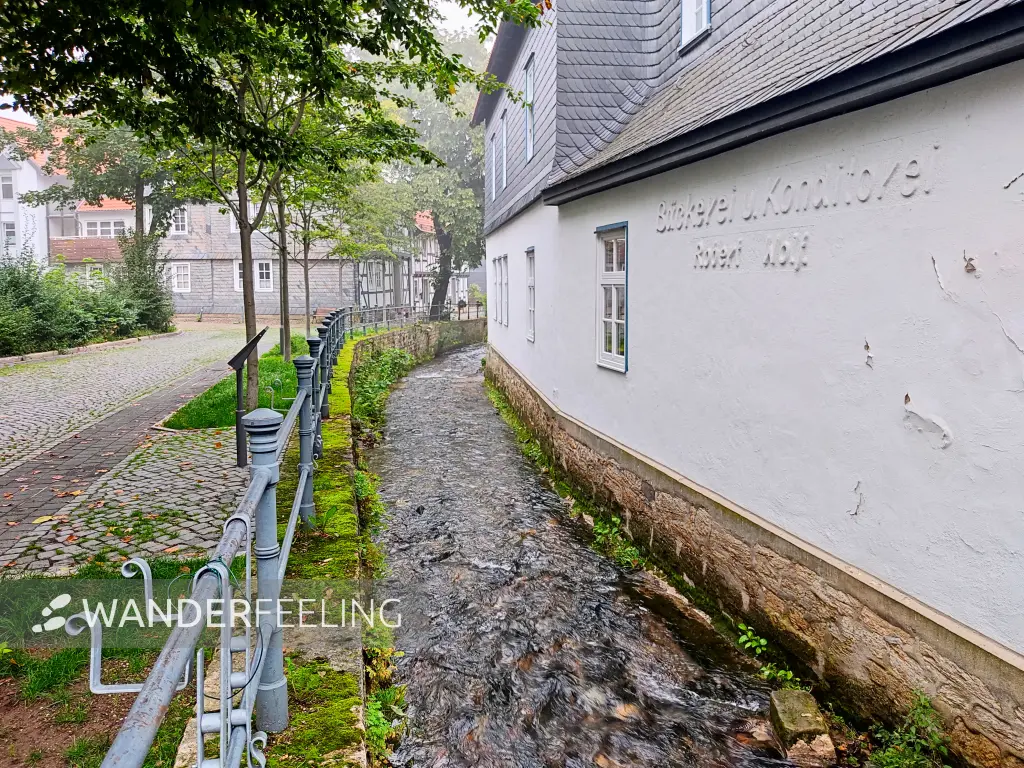 202308170-36 - Abzucht in Goslar, Harz, Niedersachsen, Deutschland