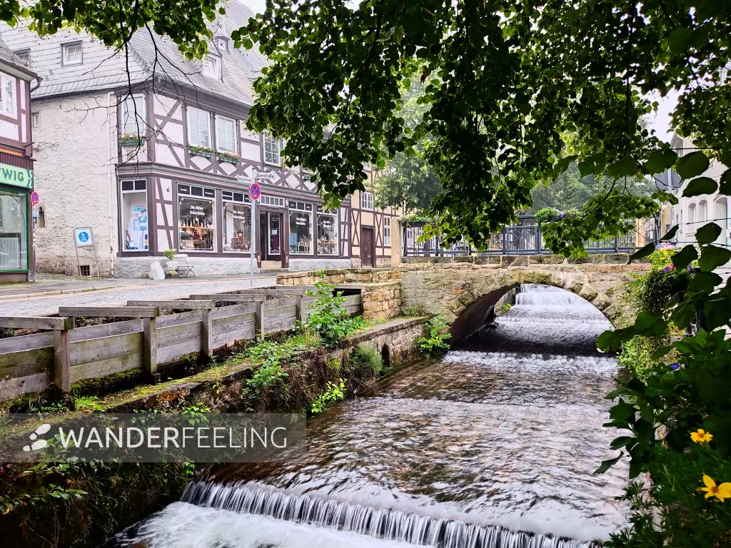 202308170-38 - Abzucht in Goslar, Harz, Niedersachsen, Deutschland