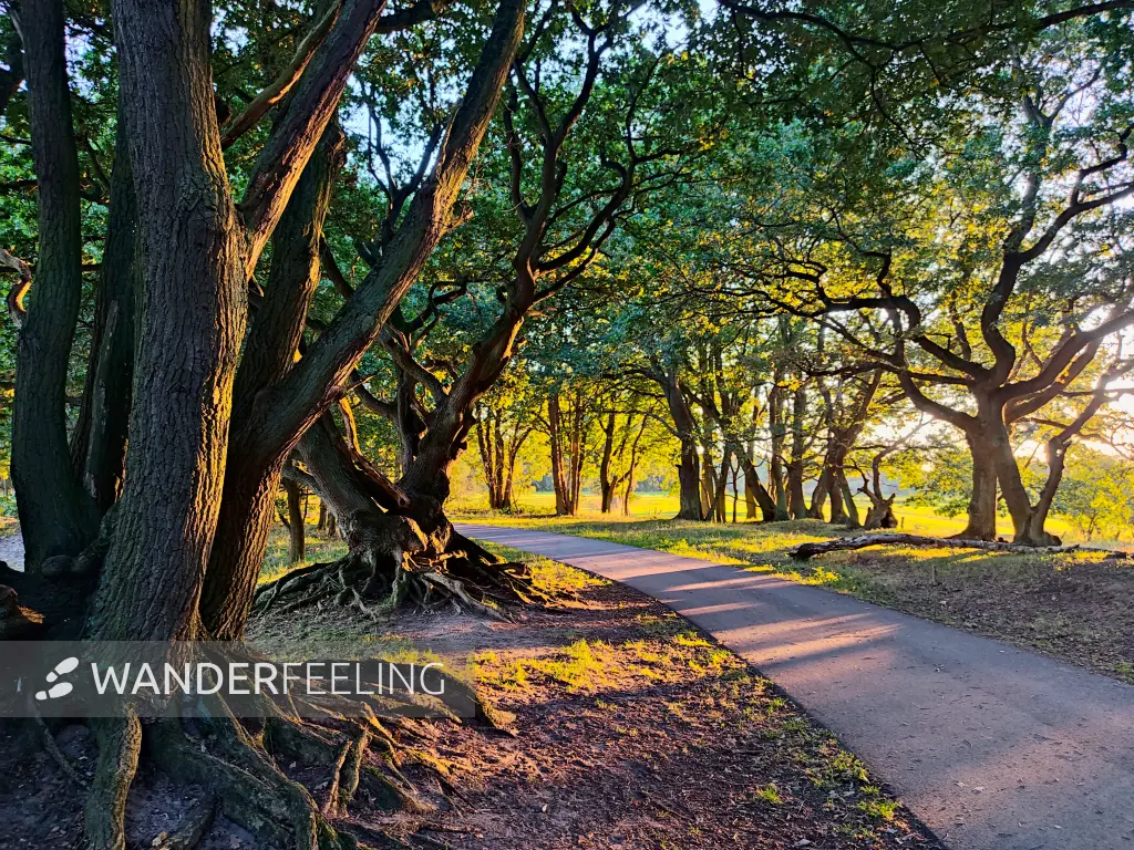 202309241-23 - Allee in der Boberger Niederung, Hamburg, Deutschland