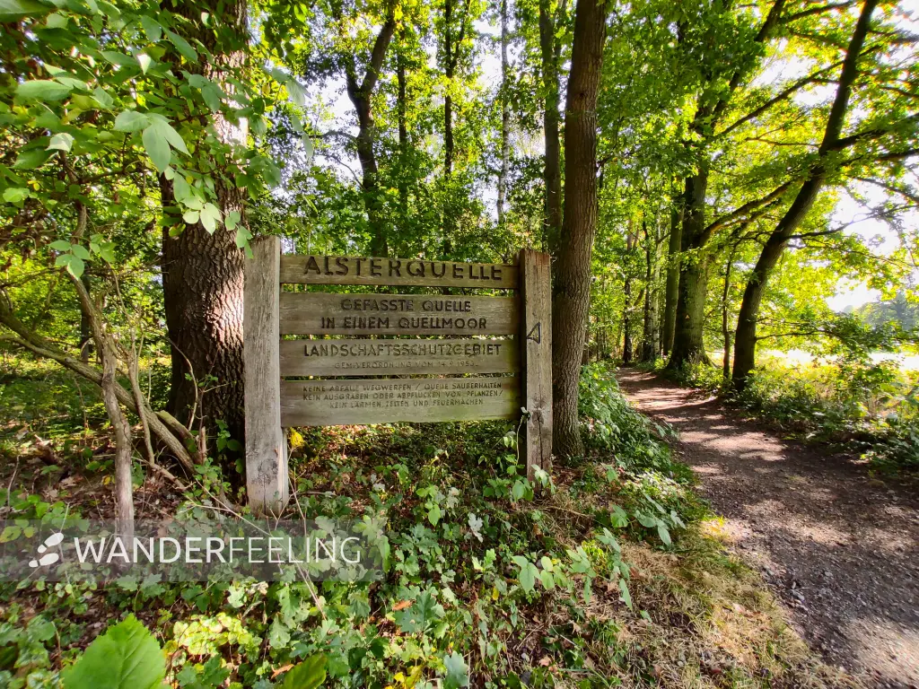 202309240-24 - Alsterquelle in der Oberalsterniederung bei Rhen, Schleswig-Holstein, Deutschland