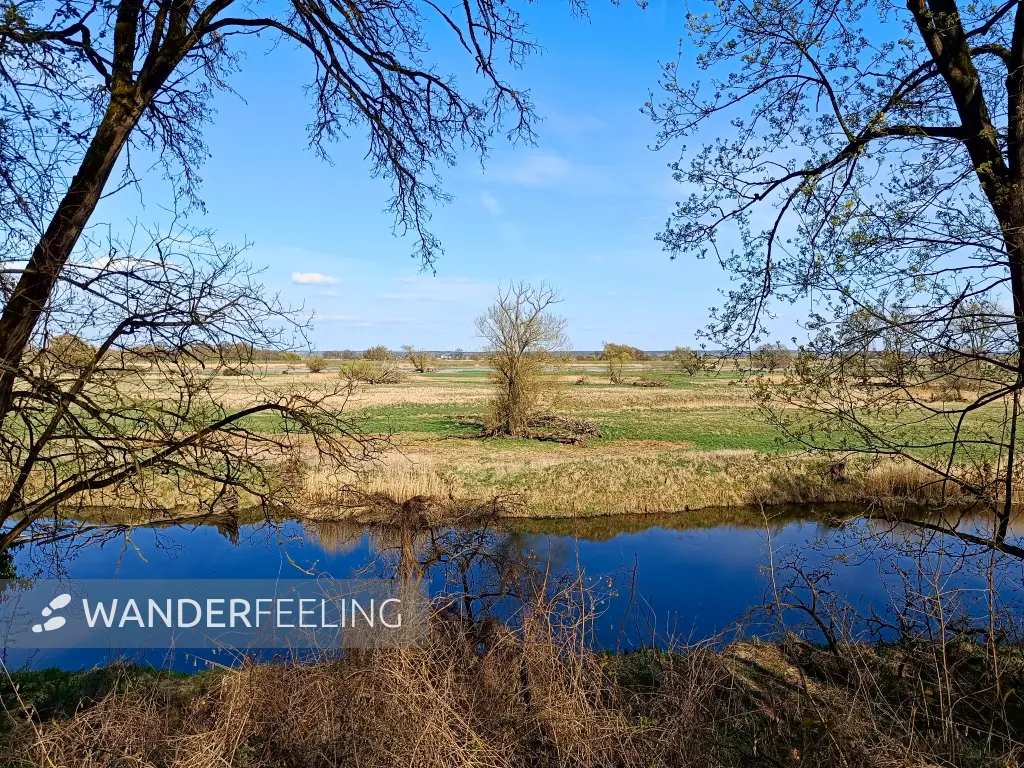 202604150-37 - Alte Oder bei Lebus, Seenland Oder-Spree, Brandenburg, Deutschland