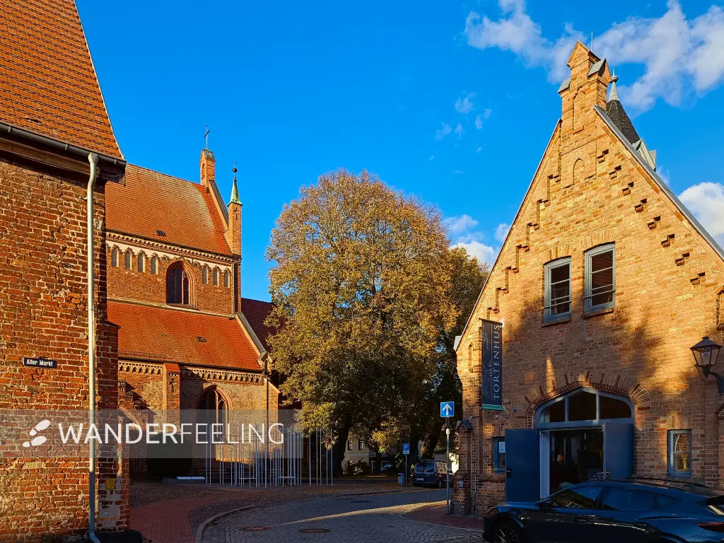202510180-34 - Alter Markt in Waren, Mecklenburgische Seenplatte, Mecklenburg-Vorpommern, Deutschland