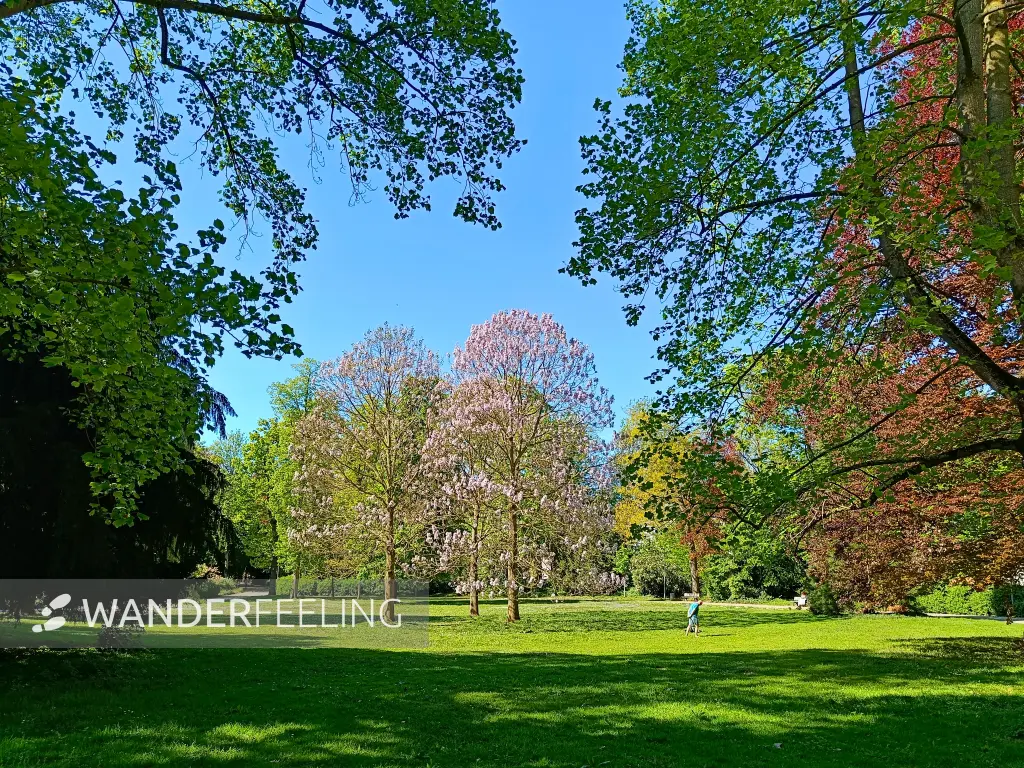 202604231-04 - Alter Stadtgarten in Neuss, Niederrhein, Nordrhein-Westfalen, Deutschland