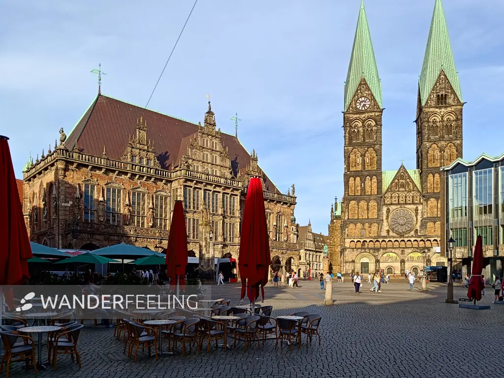 202407091-29 - Altes Rathaus und St.-Petri-Dom am Markt, Bremen, Deutschland