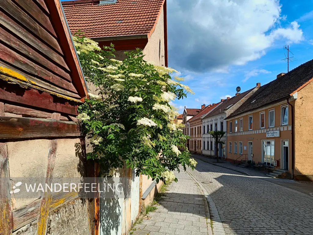202606060-32 - Altstadt von Wesenberg, Mecklenburgische Seenplatte, Mecklenburg-Vorpommern, Deutschland