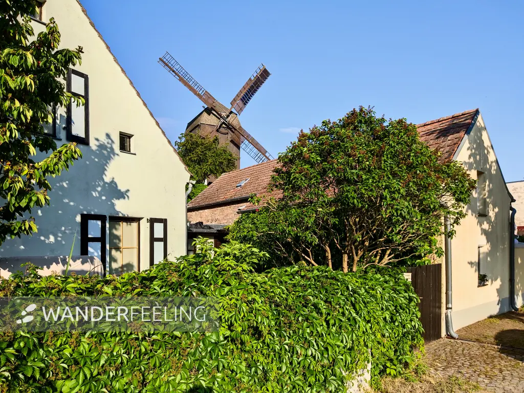 202306240-26 - Altstadthäuser und Bockwindmühle in Werder, Havelland, Brandenburg, Deutschland
