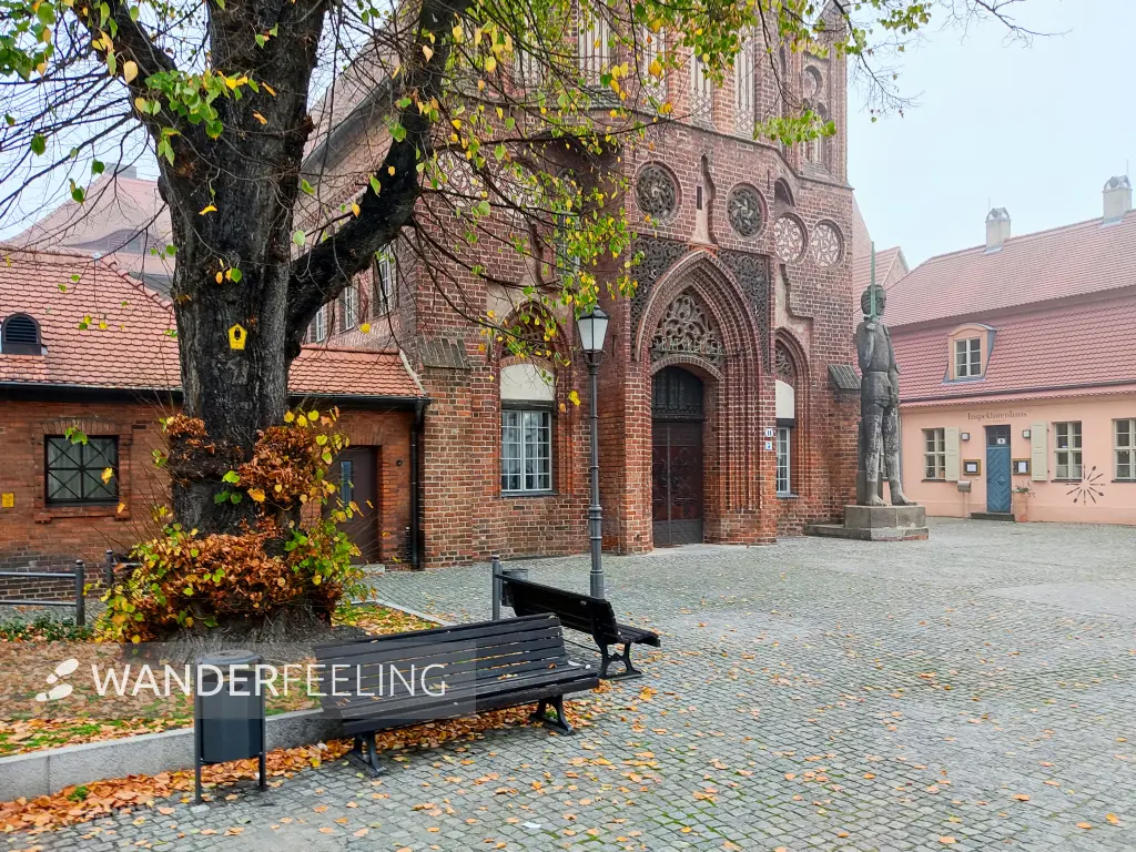202210310-49 - Altstädtisches Rathaus in Brandenburg an der Havel, Havelland, Brandenburg, Deutschland