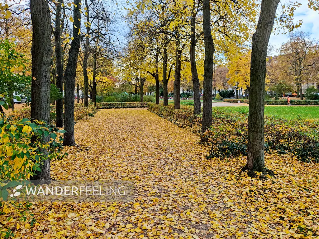 202311020-03 - Anger in Frankfurt (Oder), Seenland Oder-Spree, Brandenburg, Deutschland
