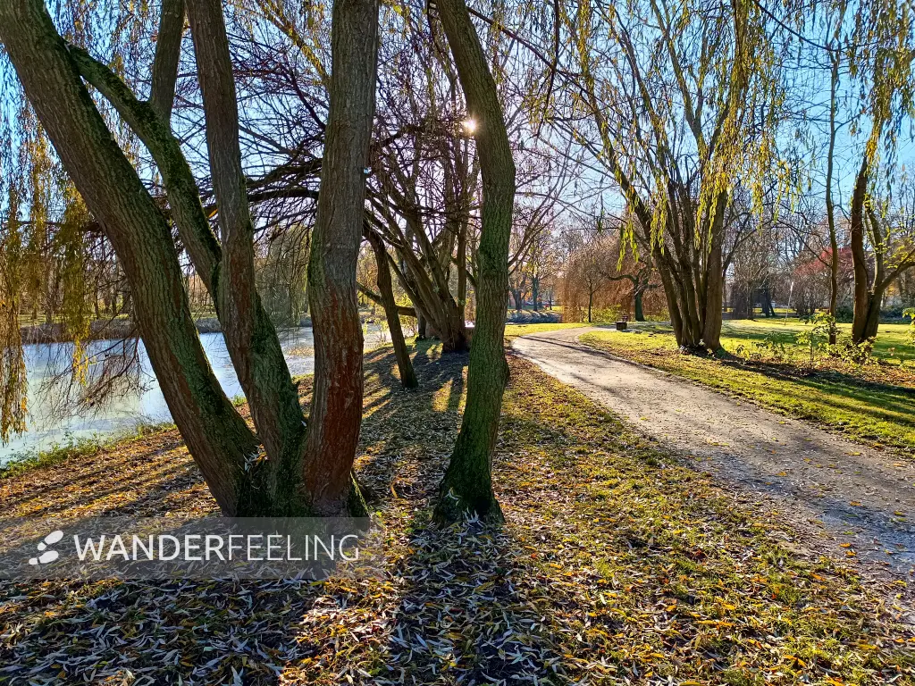202511210-20 - August-Bebel-Park in Stendal, Altmark, Sachsen-Anhalt, Deutschland