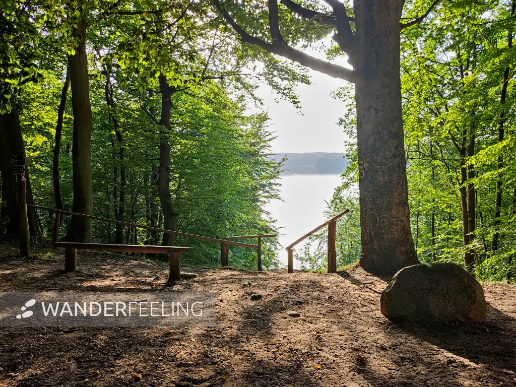 202309110-28 - Augustablick am Peetschsee bei Neuglobsow, Ruppiner Seenland, Brandenburg, Deutschland