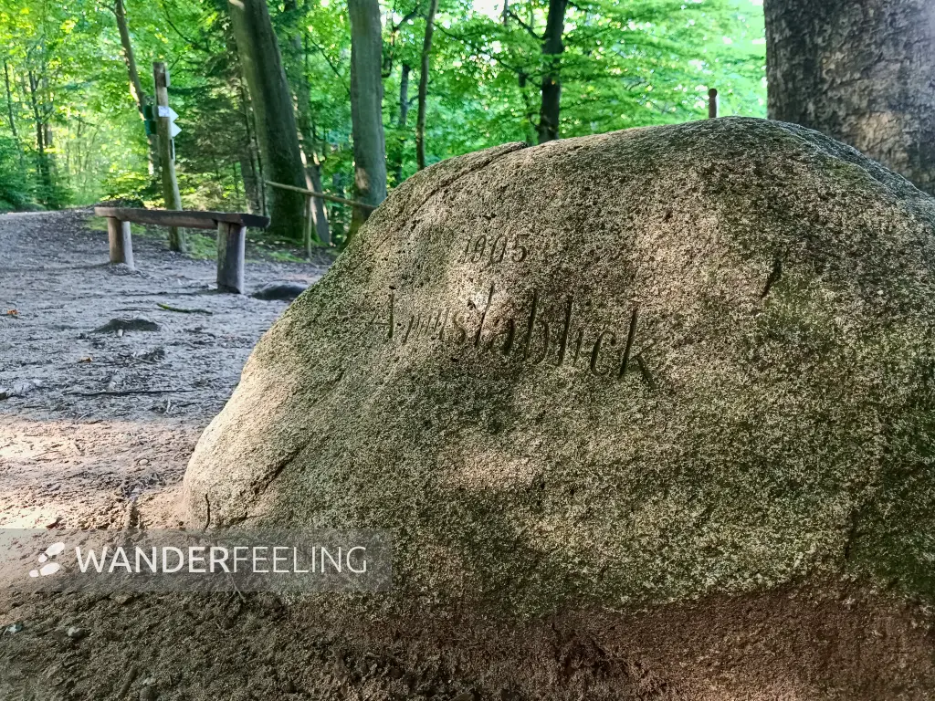 202509010-09 - Augustablick am Peetschsee im NSG Stechlin, Ruppiner Seenland, Brandenburg, Deutschland