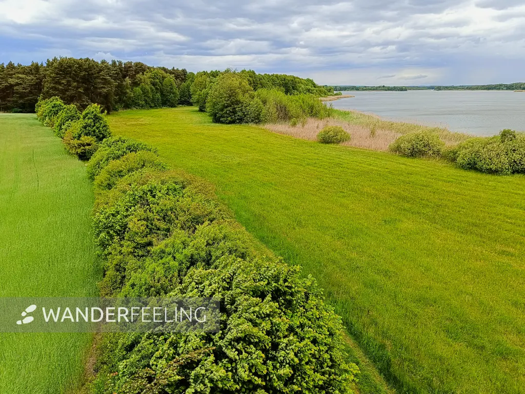 202505170-26 - Ausblick auf den Groß Schauener See, Seenland Oder-Spree, Brandenburg, Deutschland