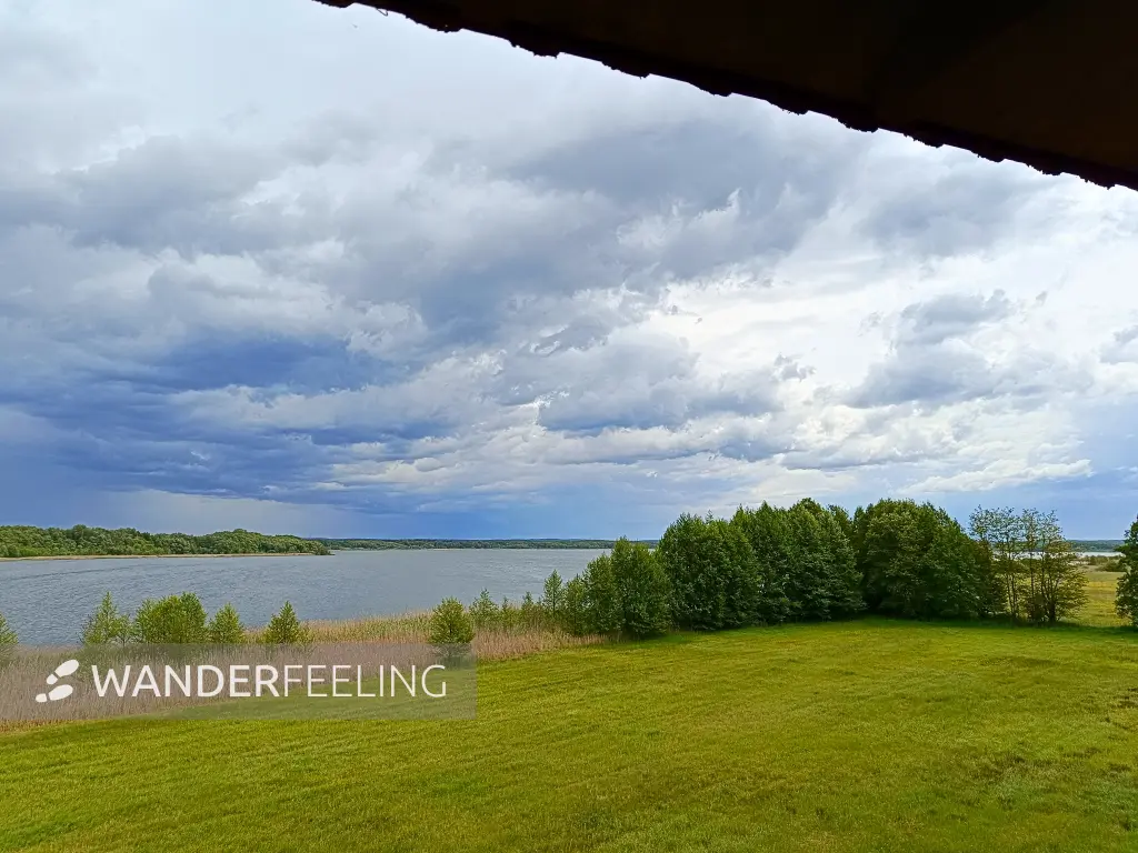 202505170-27 - Ausblick auf den Groß Schauener See, Seenland Oder-Spree, Brandenburg, Deutschland
