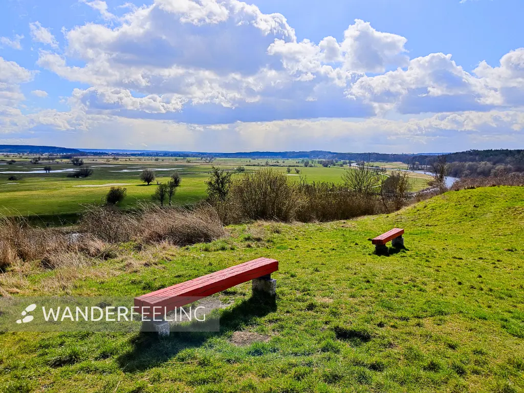 202303280-06 - Ausblick auf den Nationalpark Unteres Odertal bei Stolpe, Uckermark, Brandenburg, Deutschland
