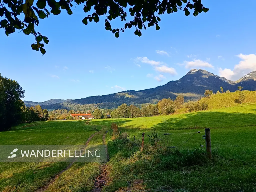 202409180-43 - Ausblick ins Leitzachtal, Oberbayern, Bayern, Deutschland