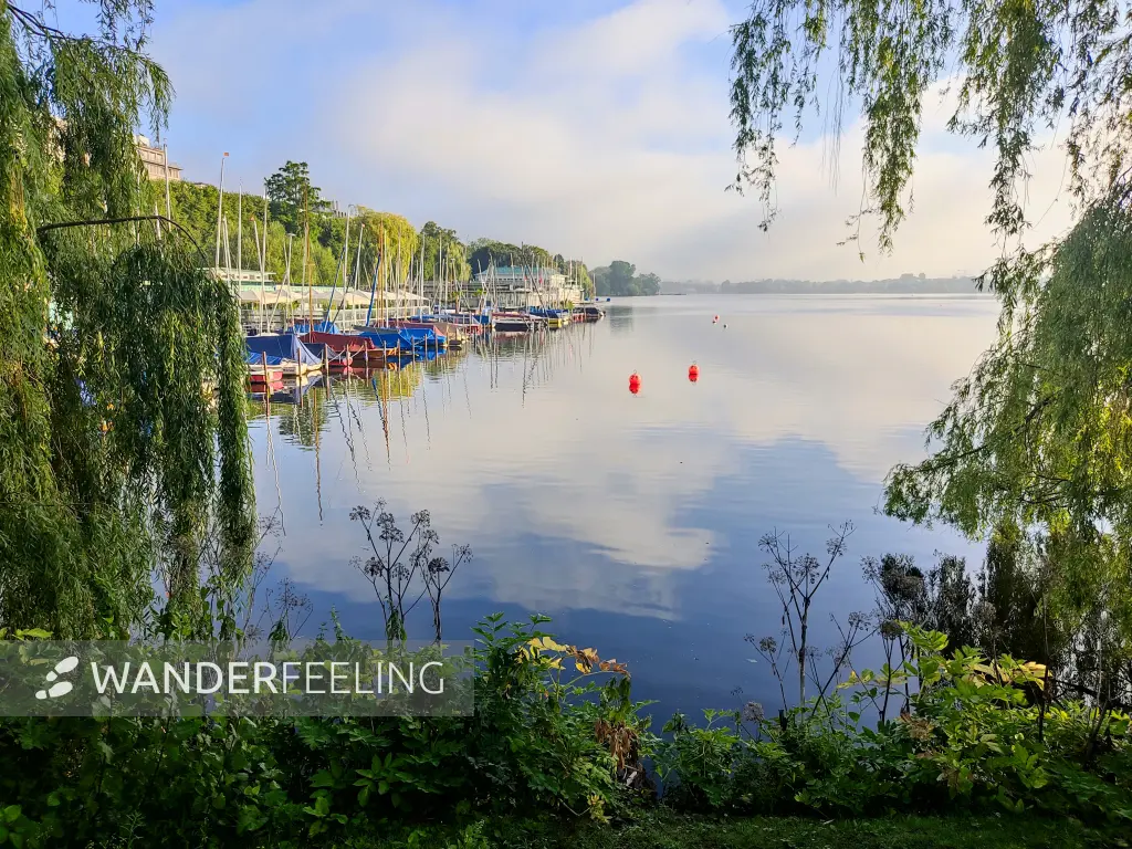 202308200-01 - Außenalster, Hamburg, Deutschland