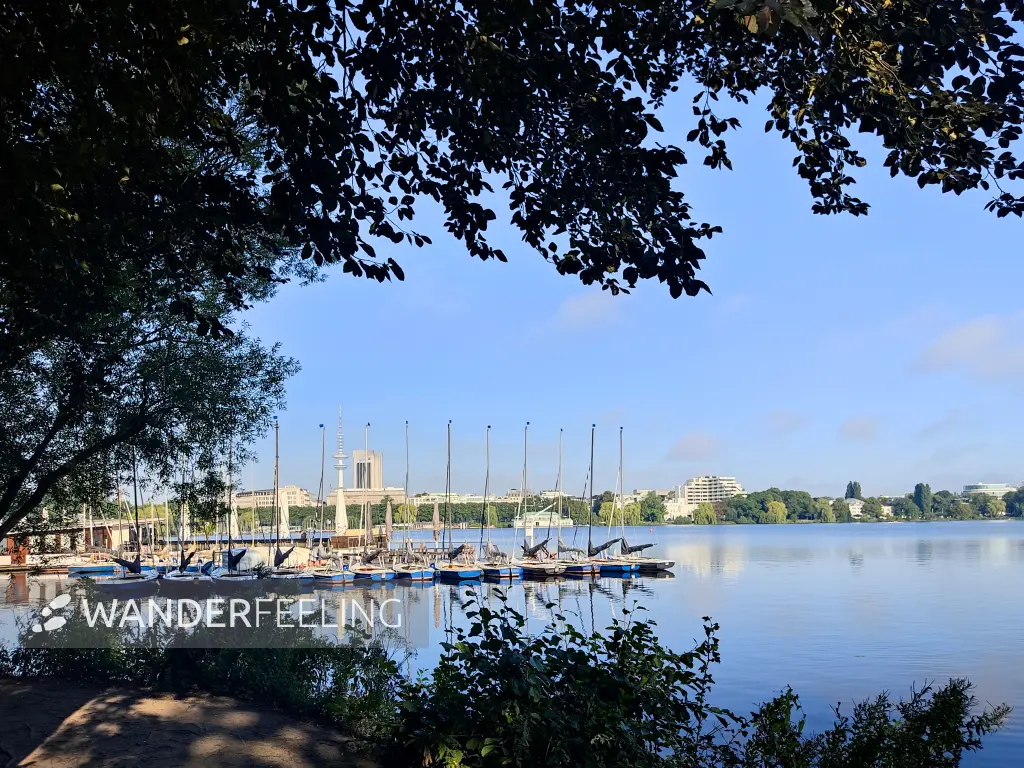 202308200-02 - Außenalster, Hamburg, Deutschland