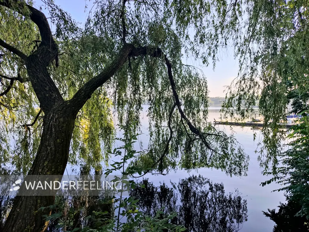 202308200-05 - Außenalster, Hamburg, Deutschland