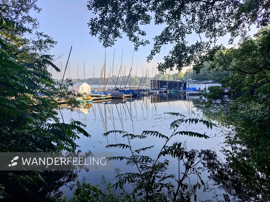 202308200-06 - Außenalster, Hamburg, Deutschland