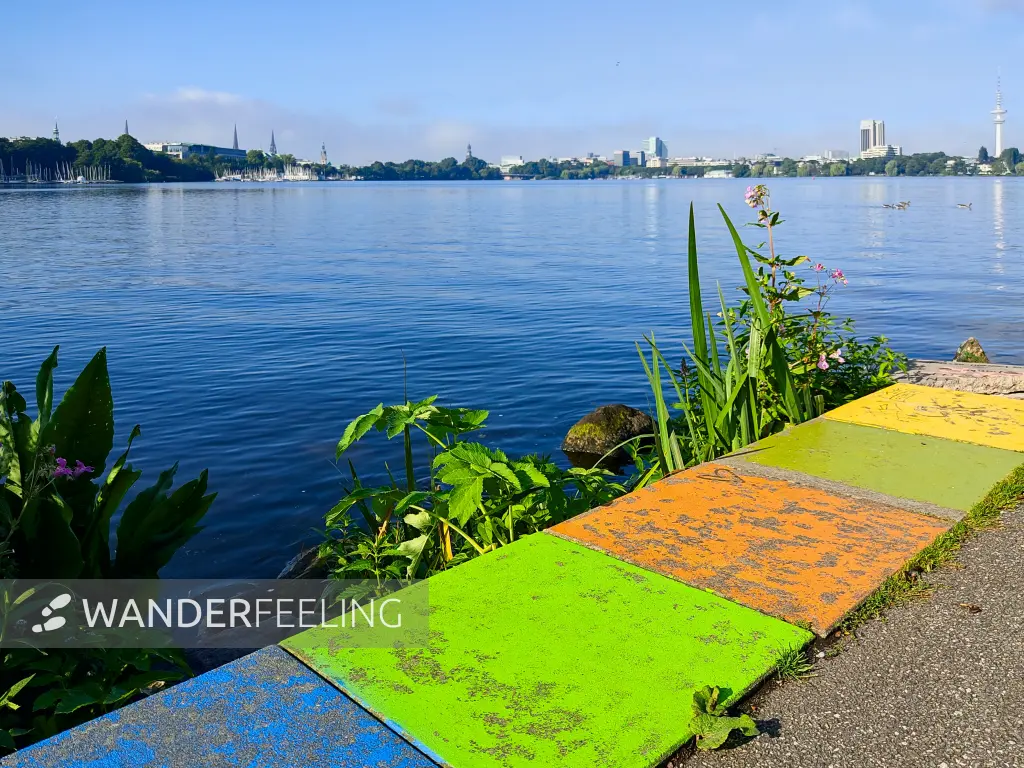 202308200-09 - Außenalster, Hamburg, Deutschland