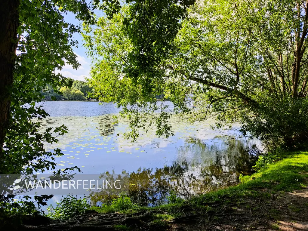 202308200-44 - Außenalster, Hamburg, Deutschland
