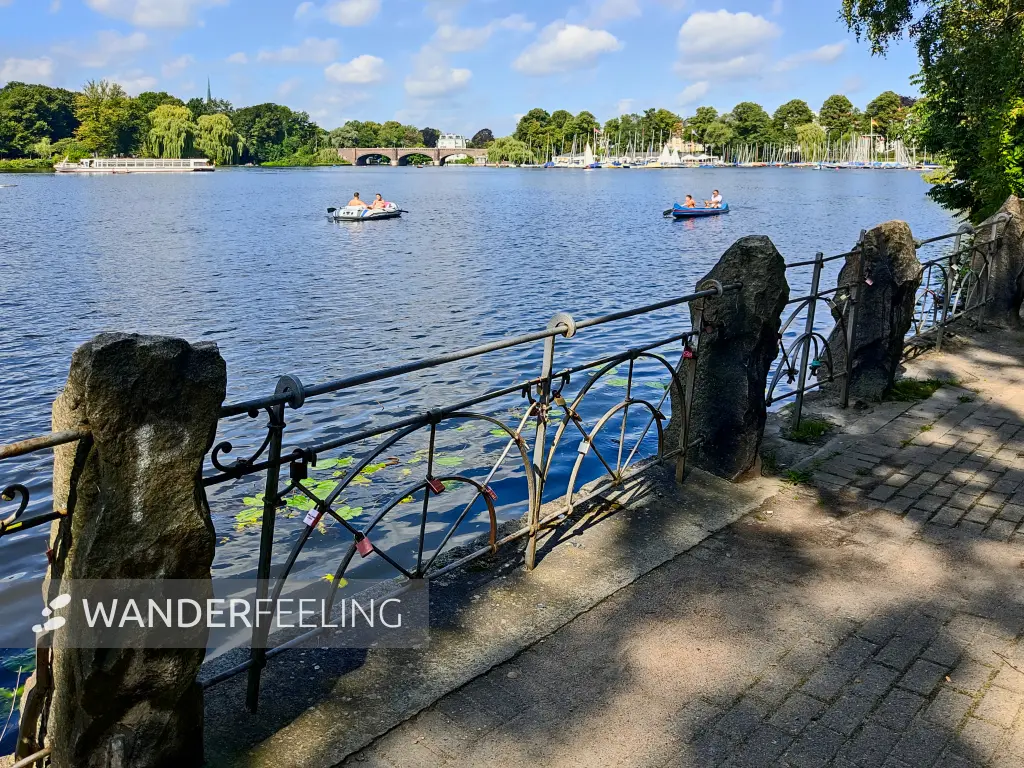 202308200-45 - Außenalster, Hamburg, Deutschland