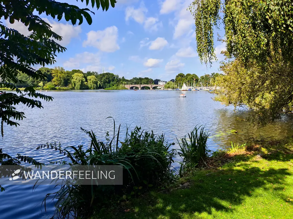 202308200-46 - Außenalster, Hamburg, Deutschland
