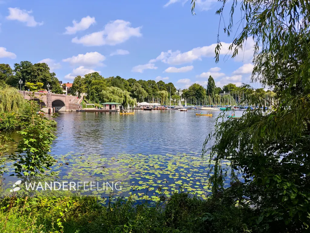 202308200-47 - Außenalster, Hamburg, Deutschland