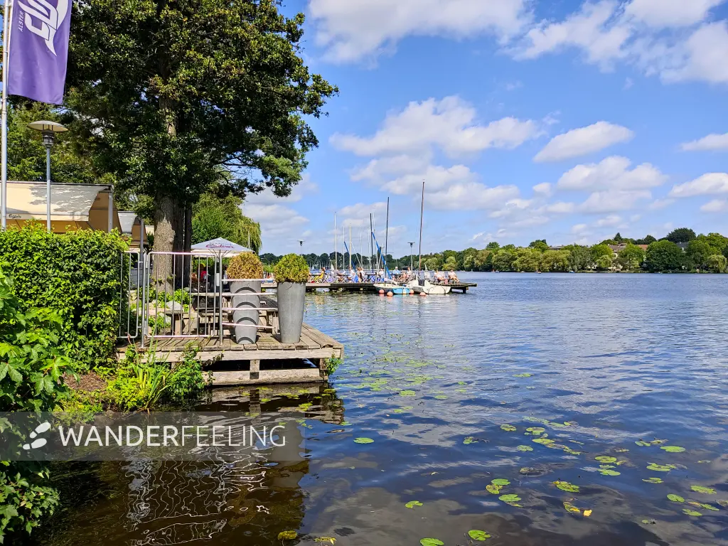 202308200-49 - Außenalster, Hamburg, Deutschland
