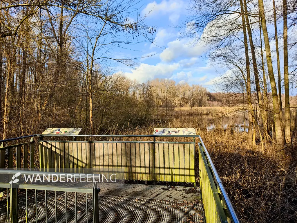 202301130-22 - Aussichtsplattform am Bogensee im Bucher Forst, Berlin, Deutschland