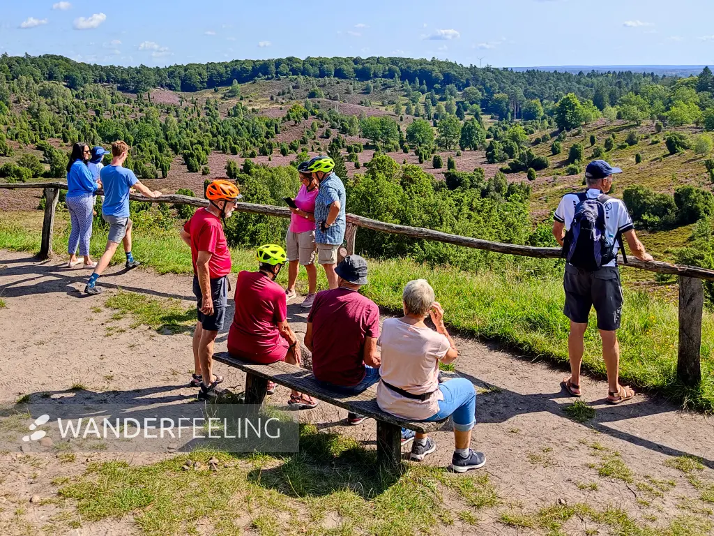 202308210-16 - Aussichtspunkt am Totengrund, Lüneburger Heide, Niedersachsen, Deutschland