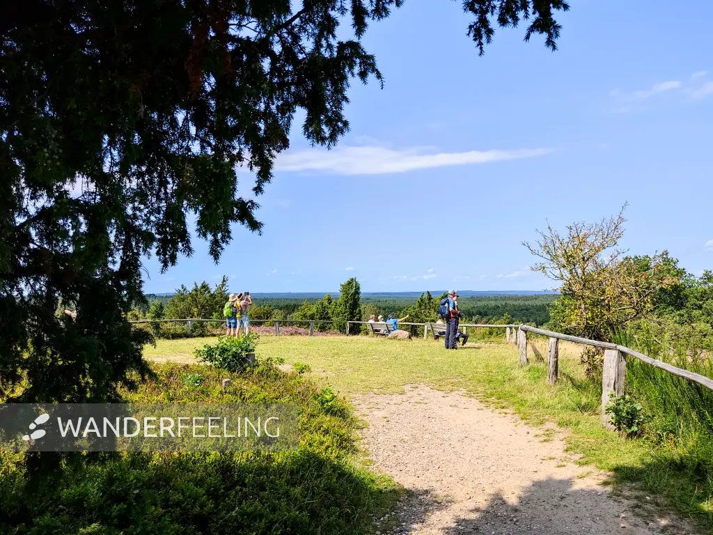 202308210-37 - Aussichtspunkt am Wilseder Berg bei Wilsede, Lüneburger Heide, Niedersachsen, Deutschland