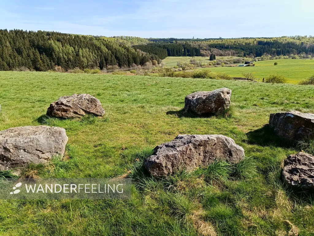 202604270-32 - Aussichtspunkt bei Nettersheim, Eifel, Nordrhein-Westfalen, Deutschland