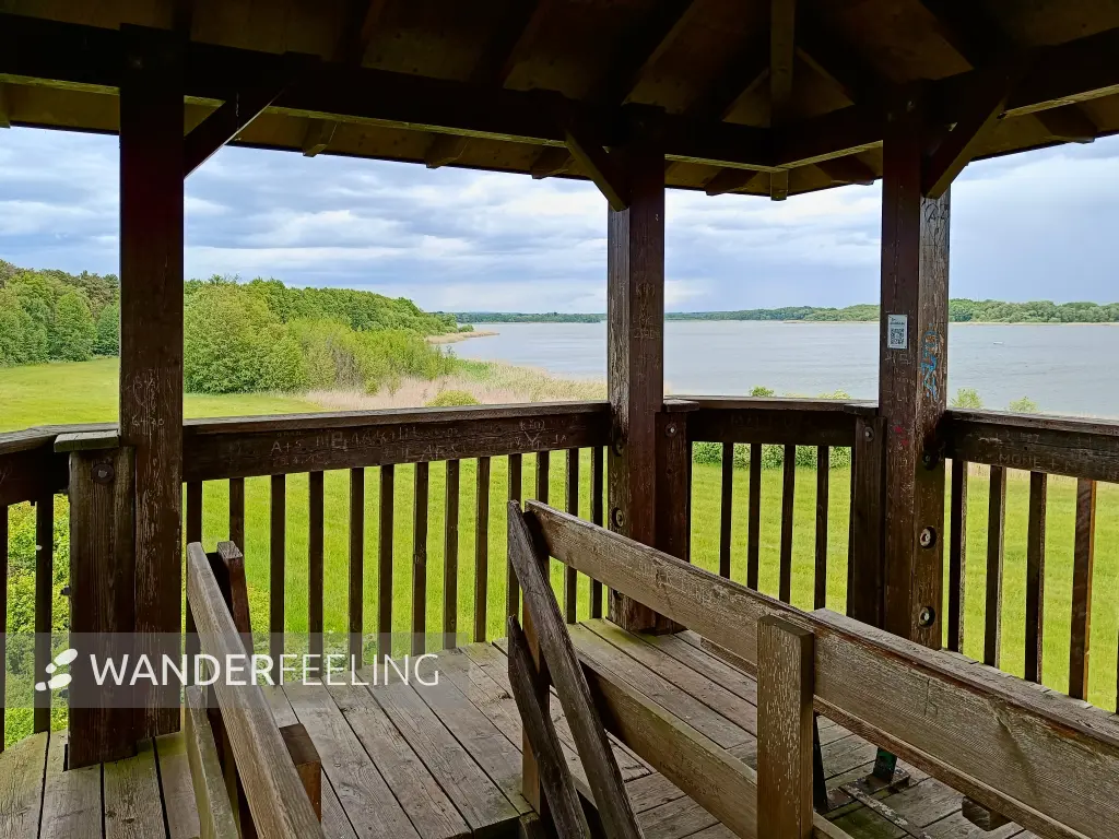 202505170-28 - Aussichtsturm am Groß Schauener See, Seenland Oder-Spree, Brandenburg, Deutschland