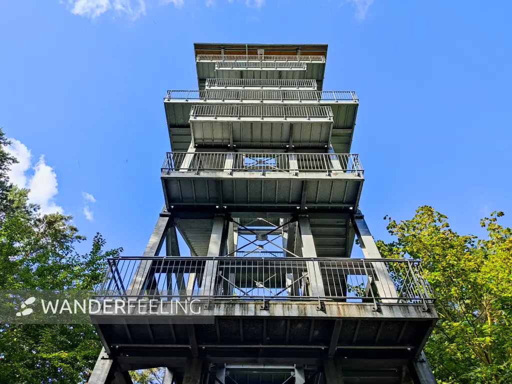 202309150-23 - Aussichtsturm am Senftenberger See zwischen Großkoschen und Niemtsch, Lausitz, Brandenburg, Deutschland