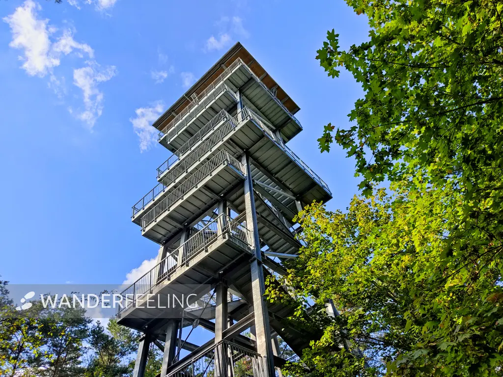 202309150-24 - Aussichtsturm am Senftenberger See zwischen Großkoschen und Niemtsch, Lausitz, Brandenburg, Deutschland