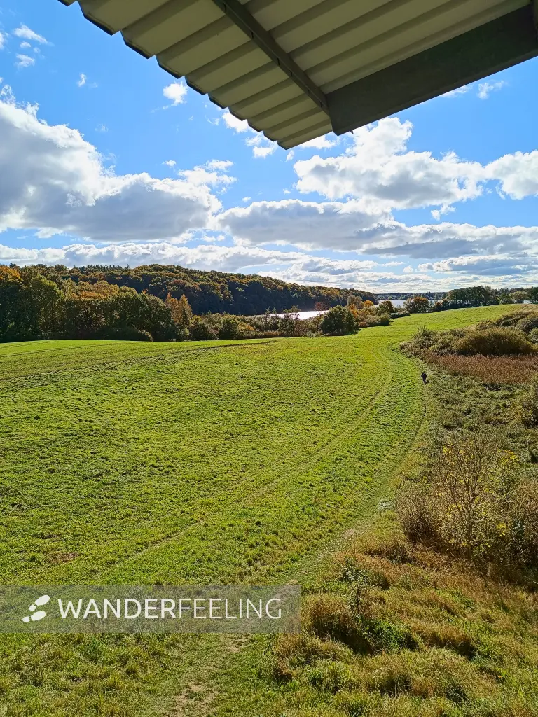 202510180-14 - Aussichtsturm am Tiefwarensee bei Amsee, Mecklenburgische Seenplatte, Mecklenburg-Vorpommern, Deutschland