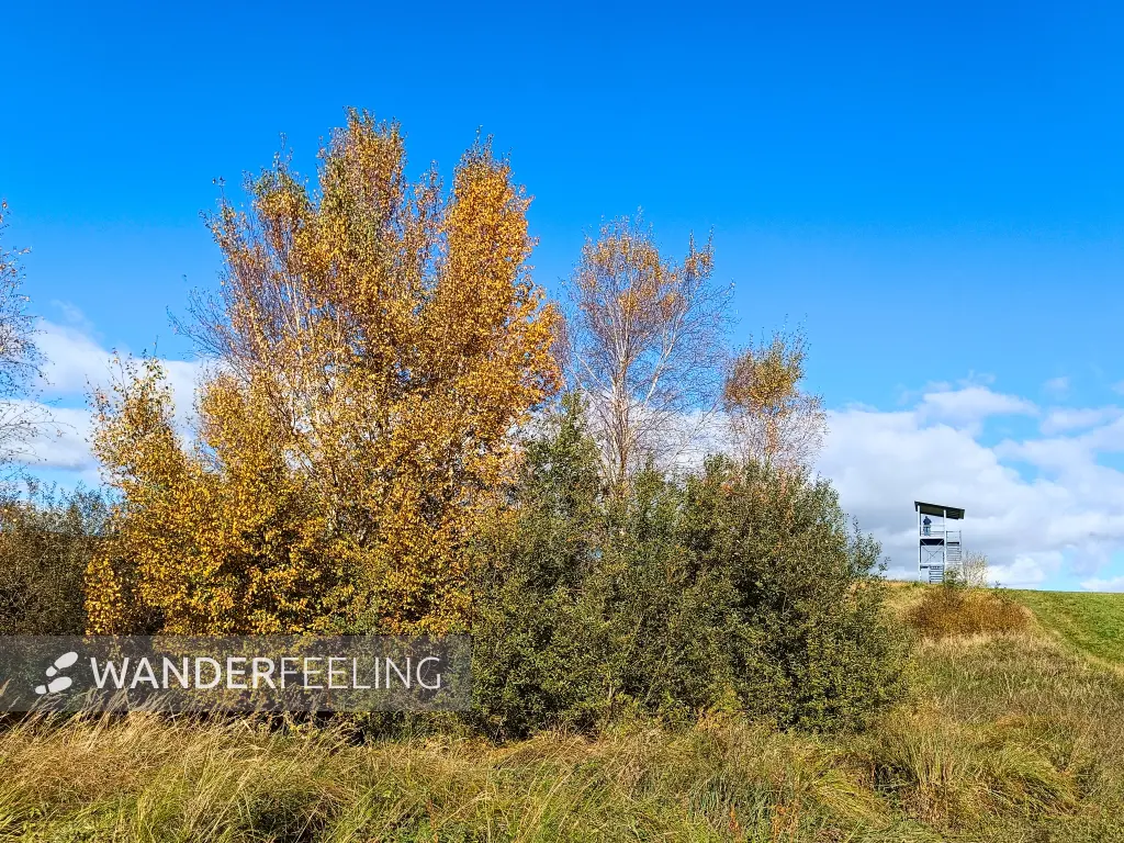 202510180-15 - Aussichtsturm am Tiefwarensee bei Amsee, Mecklenburgische Seenplatte, Mecklenburg-Vorpommern, Deutschland