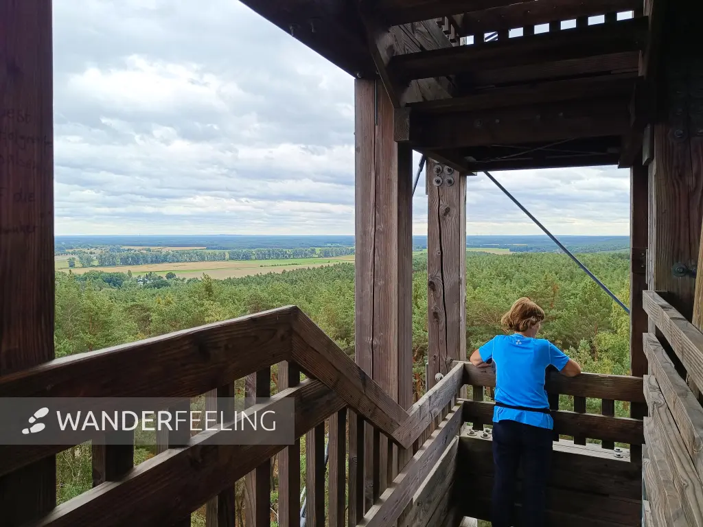 202609040-28 - Aussichtsturm auf dem Vorderen Löwendorfer Berg bei Löwendorf, Fläming, Brandenburg, Deutschland