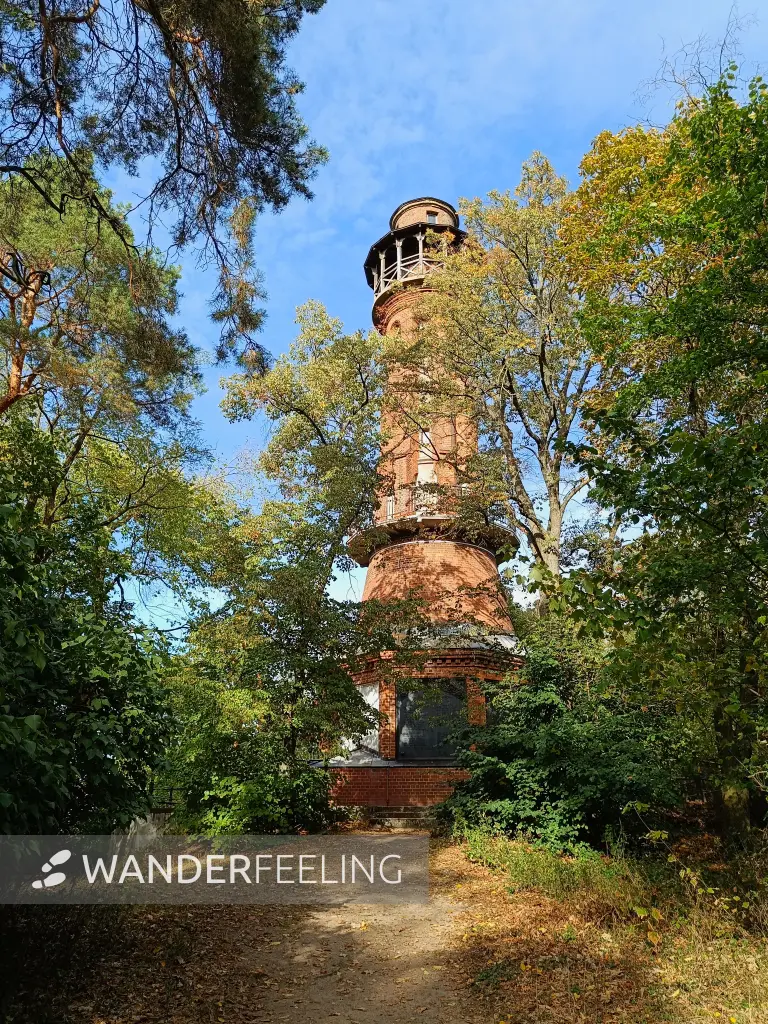 202609190-23 - Aussichtsturm bei Bad Freienwalde, Seenland Oder-Spree, Brandenburg, Deutschland