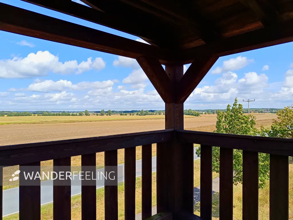 202408210-03 - Aussichtsturm bei Friedersdorf, Elbe-Elster-Land, Brandenburg, Deutschland