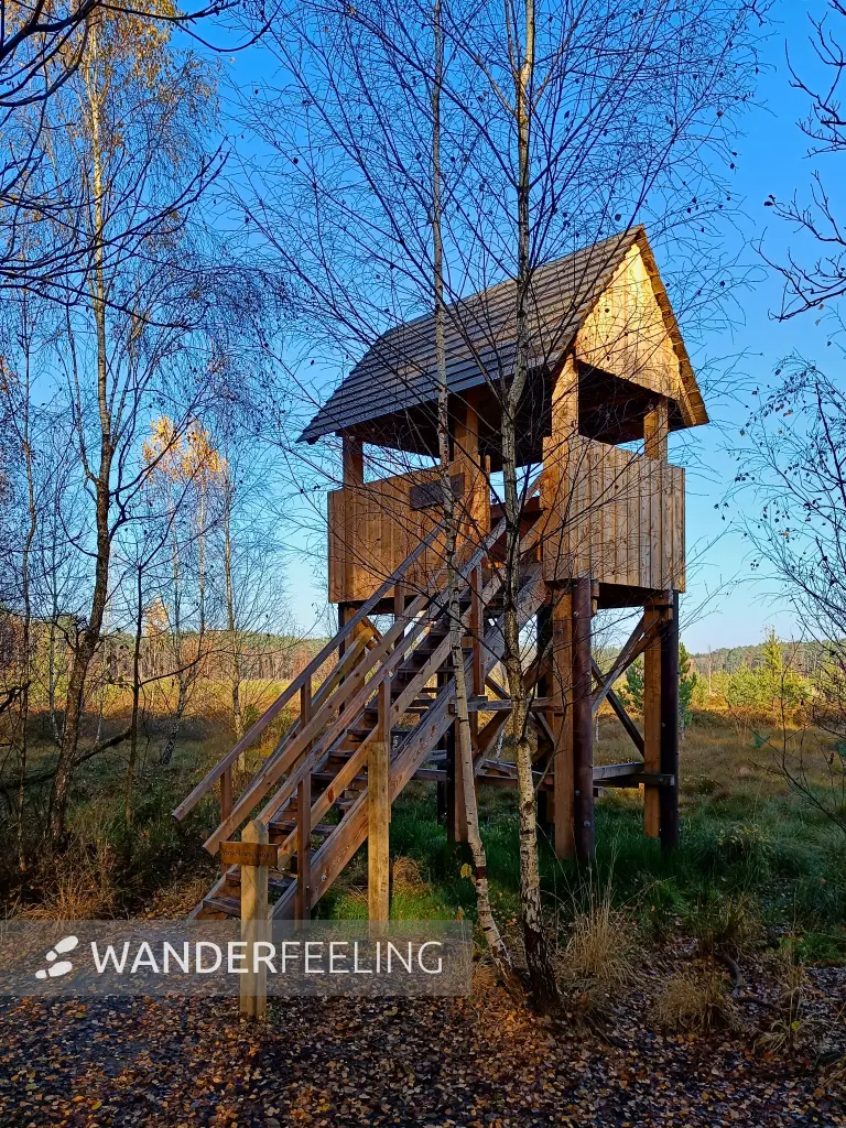 202511070-07 - Aussichtsturm im Müritz-Nationalpark bei Serrahn, Mecklenburgische Seenplatte, Mecklenburg-Vorpommern, Deutschland