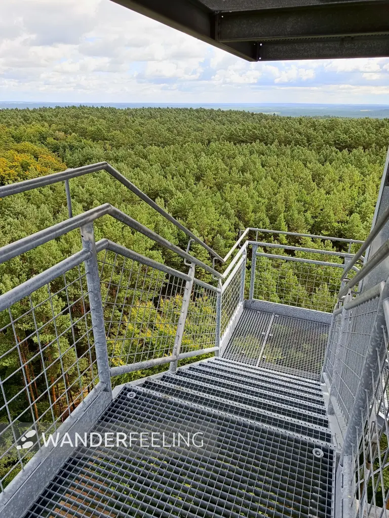 202508230-06 - Aussichtsturm in den Rauener Bergen, Seenland Oder-Spree, Brandenburg, Deutschland