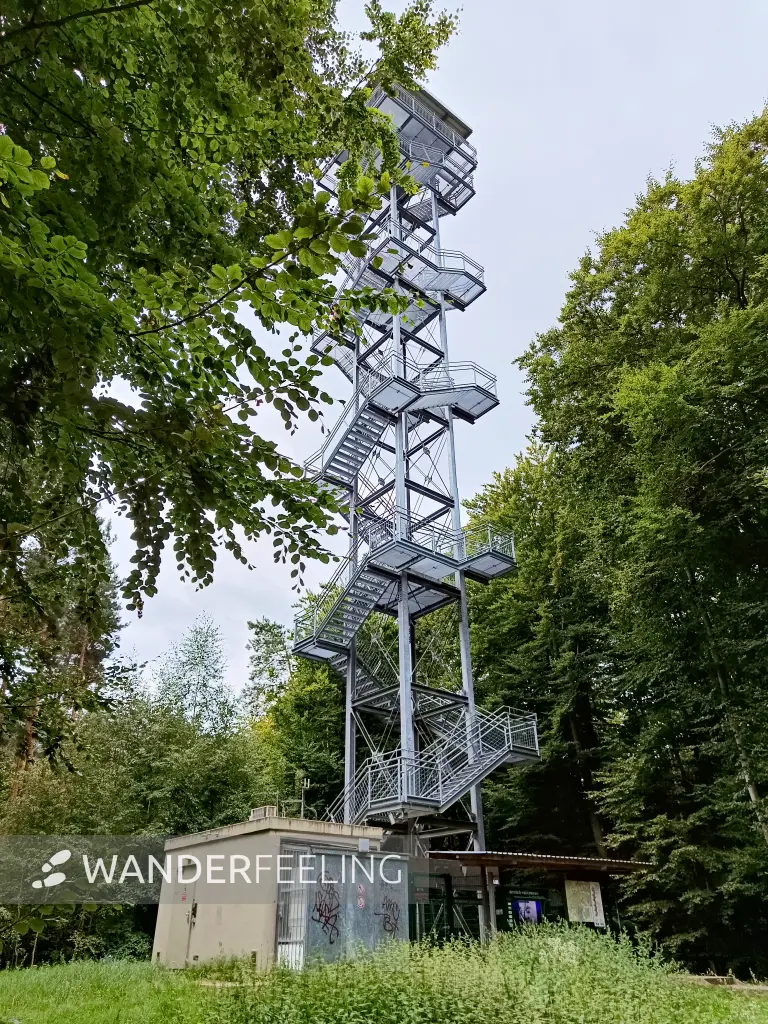 202508230-11 - Aussichtsturm in den Rauener Bergen, Seenland Oder-Spree, Brandenburg, Deutschland