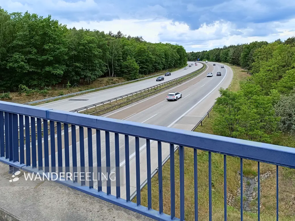 202405180-07 - Autobahnbrücke in der Parforceheide, Brandenburg, Deutschland