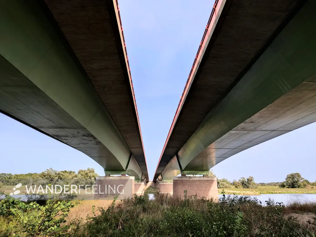 202310110-29 - Autobahnbrücke über die Elbe bei Vockerode, Anhalt-Dessau-Wittenberg, Sachen-Anhalt, Deutschland